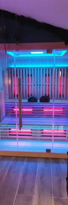 SAUNA, BALNEO, TERRASSE, PARKING, Le tout totalement privé dans maison indépendante à la décoration soignée, ensoleillé et sans vis à vis, Prise VE, Calme et discrétion Garantis, Idéalement situé pour visiter la région, Animaux bienvenues，位于Saint-Jean-de-la-Neuville的酒店