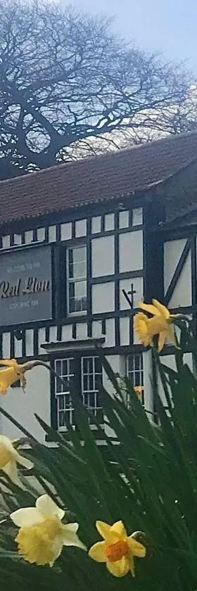 Red Lion Coaching Inn，位于Redbourne的酒店