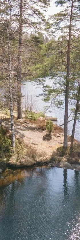 Myllyjärven mökki，位于菲斯卡斯的酒店