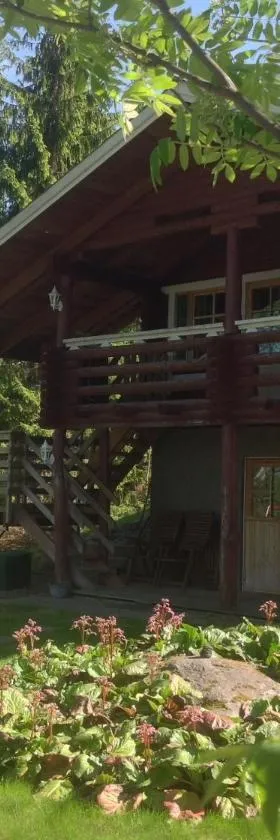 Päivänsäde Cottage，位于Toivakka的酒店