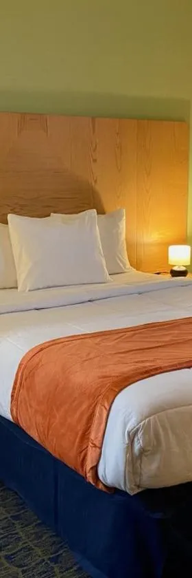 Ficus Hotel，位于圣胡安的酒店
