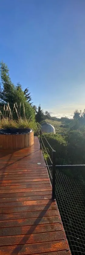 Casa Oro Glamping Hostel，位于瓜塔维塔的酒店