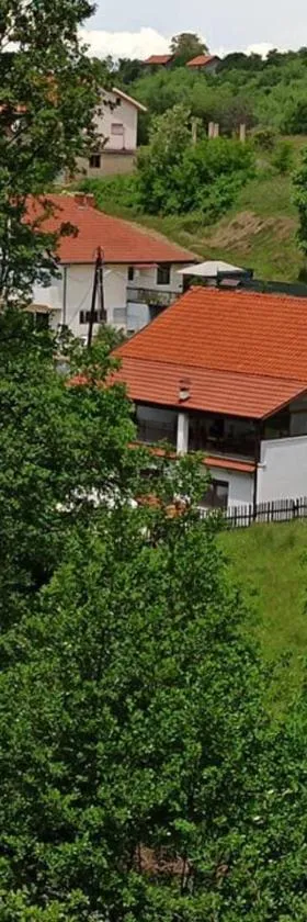 Villa River Pehchevo，位于Pehčevo的酒店