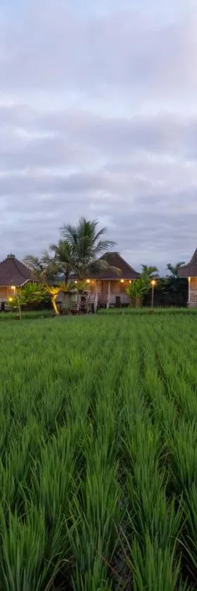 Uma Sebatu Villa，位于德格拉朗的酒店