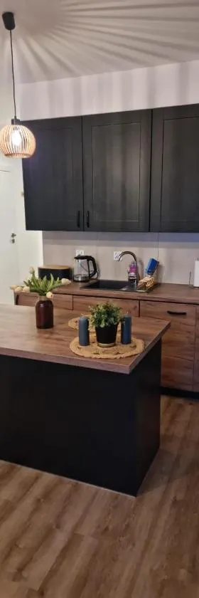 Apartament Anna，位于莱什诺的酒店