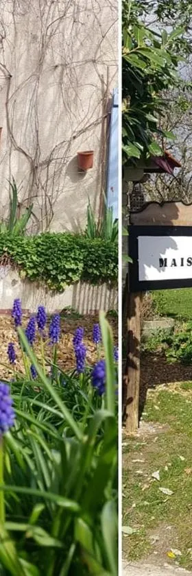 La maisonnette 301，位于Saint-Ouen-en-Belin的酒店