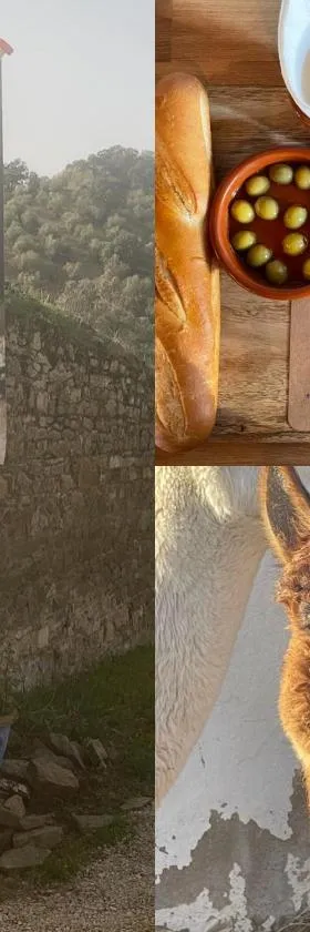 Experience Alpacas in Andalucia，位于科尔多瓦的酒店