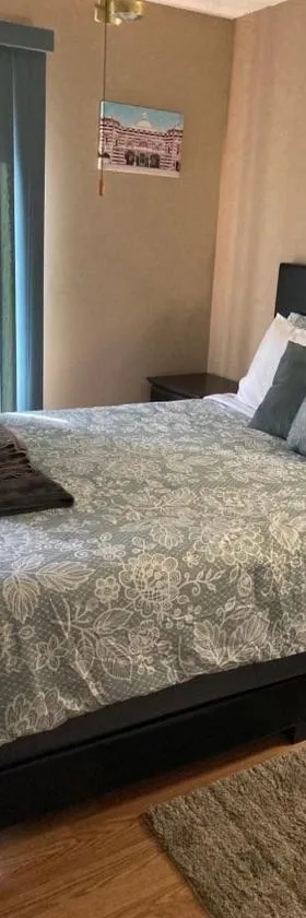 Irises House - private room in home，位于基西米的酒店