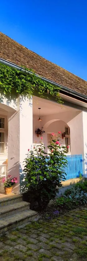 Ethno&Coffee House Tulip，位于Gložan的酒店