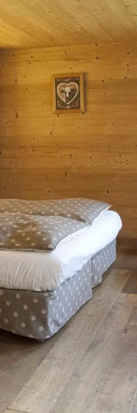 Chalet-Hôtel Les Fermes de Pierre & Anna，位于大博尔南的酒店