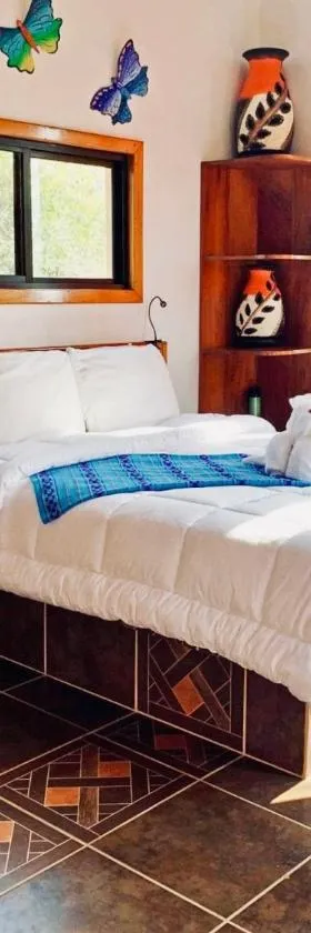 Mariposa Jungle Lodge，位于圣伊格纳西奥的酒店