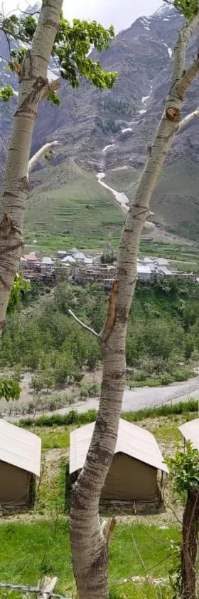 Chandra Bhaga camps，位于Tāndi的酒店