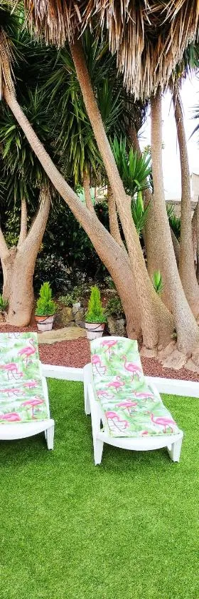 La ROSA VIEJA，位于Erjos-El Tanque的酒店