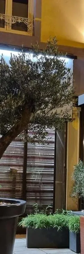 Logis Hotel Schaeffer- Restaurant Le Saint Georges，位于塞里雷斯的酒店