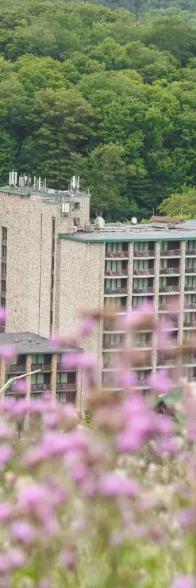 Slopeside Hotel by Seven Springs Resort，位于Champion的酒店