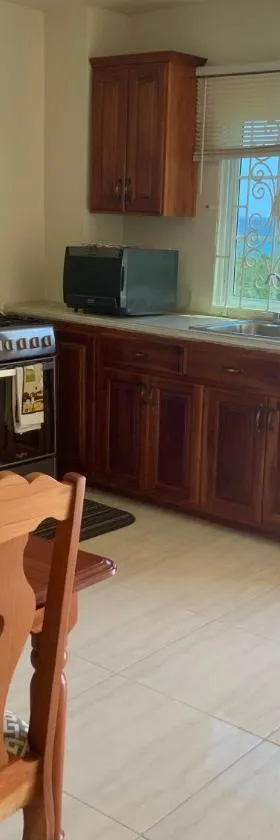 POINCIANA APARTMENT ONE 257 POINCIANA DRIVE GREEN WOOD MONTEGO BAY JAMAICA，位于蒙特哥贝的酒店