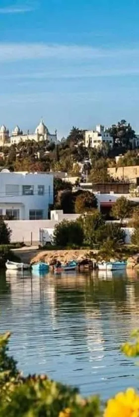 Appartement num3 Carthage byrsa，位于Douar ech Chott的酒店
