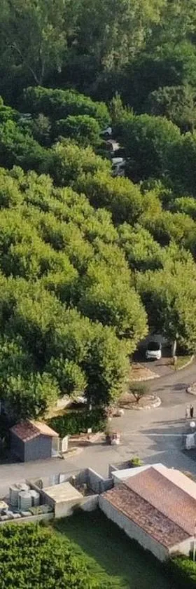 International Camping Ardèche，位于萨拉瓦的酒店