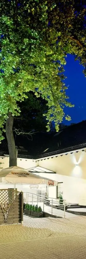 维拉公园酒店，位于戈莱纽夫的酒店