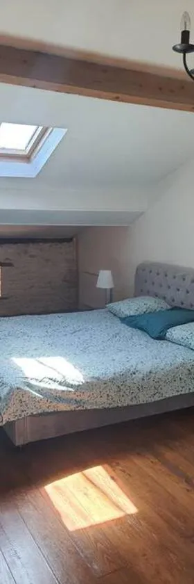 Appartement duplex 4 personnes，位于Loiré-sur-Nie的酒店