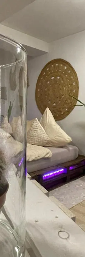 Apartment im BOHO Stil nähe Salzburg，位于弗赖拉辛的酒店