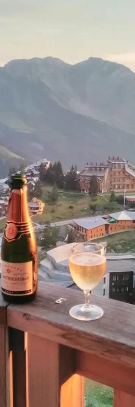 Antarès Location Avoriaz，位于阿沃里亚兹的酒店
