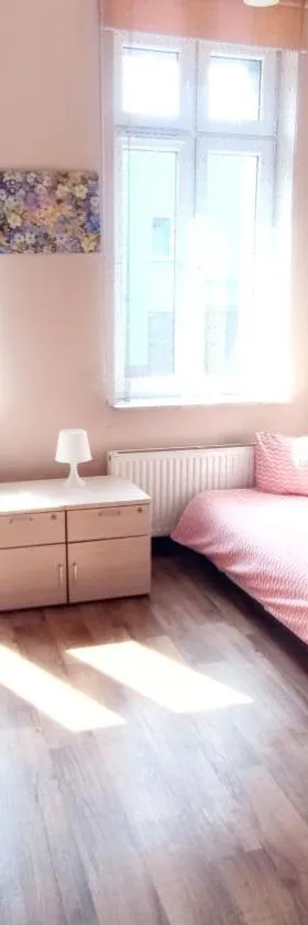Pokoje Gościnne Rozbark，位于比托姆的酒店