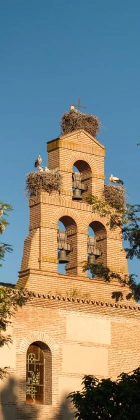 Castilla Termal Olmedo，位于奥尔梅多的酒店