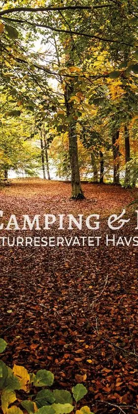 Unda Camping & Resort，位于乌德瓦拉的酒店