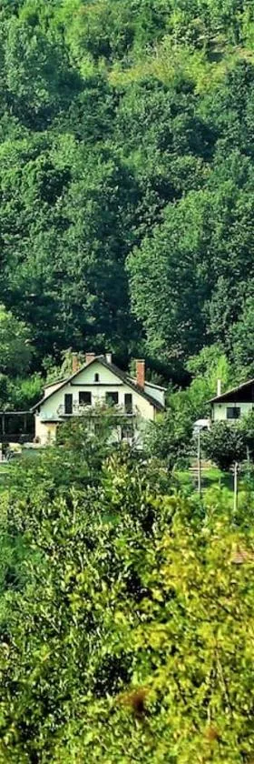 Villa “Nadezhda”，位于Tsareva Livada的酒店