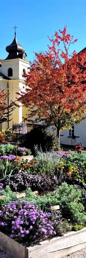 Apartmány Monastery Suites Žireč，位于拉贝河畔皇宫镇的酒店