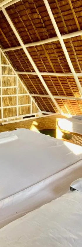 Villa Eliza Ecofarm，位于Tibiao的酒店