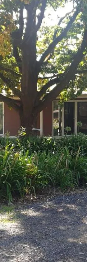 迪克斯格兰住宿加早餐旅馆，位于Dixons Creek的酒店