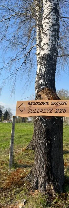 Brzozowe zacisze，位于Sulerzyż的酒店