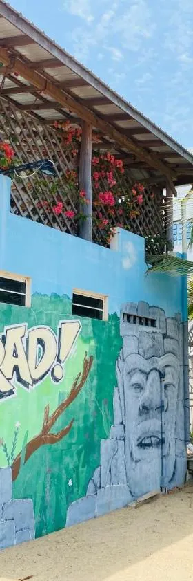 Crash Pad Adventure Hostel，位于霍普金斯的酒店