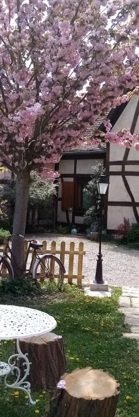 Hissele，位于Hilsenheim的酒店