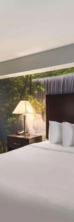 Clarion Pointe Downtown，位于锡拉丘兹的酒店