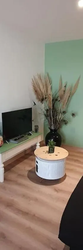 Charmant appartement au calme，位于圣罗曼拉莫特的酒店