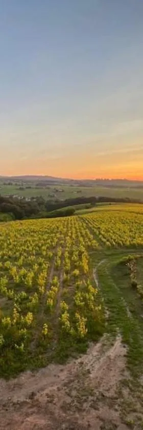 Au cœur des vignes Moulin à Vent，位于La Chapelle-de-Guinchay的酒店