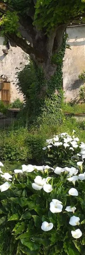 Gite du moulin，位于La Mothe-Saint-Héray的酒店