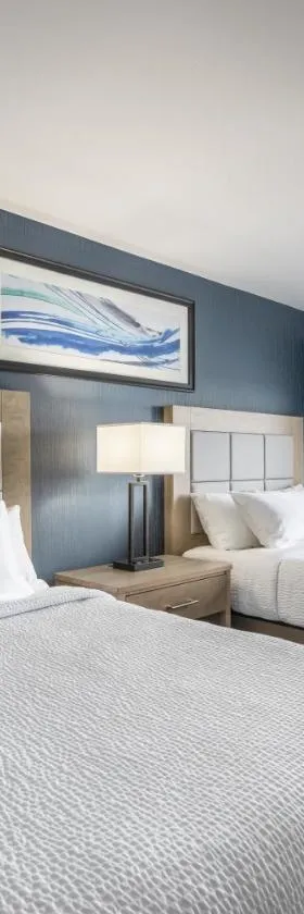 The Simon Hotel Sydney，位于悉尼的酒店