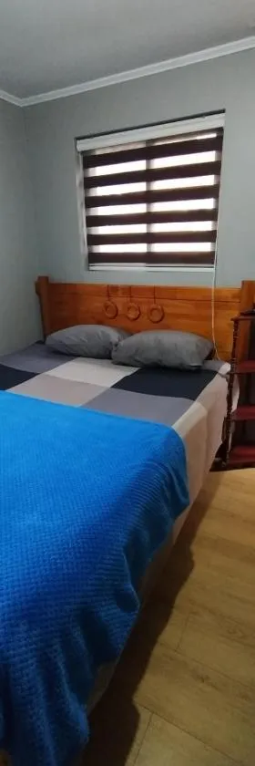 EL ROBLE 2.0 CHILLAN，位于奇廉的酒店