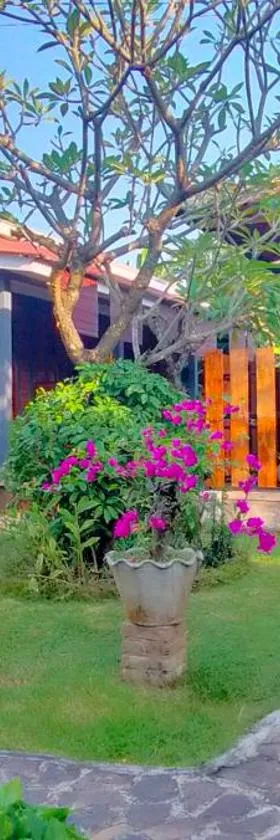 Tunjung guest house lovina beach，位于布莱伦的酒店