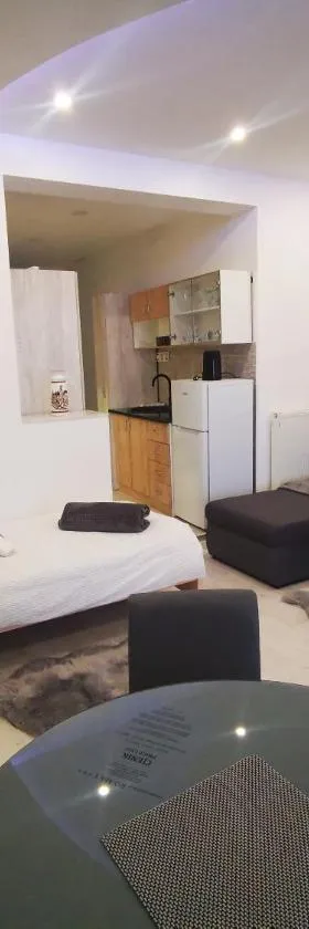 STUDIO APARTMANI RO-MA，位于Novo Selo Požeško的酒店
