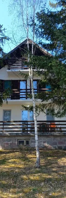 Kuća Sarić, Gružansko jezero，位于Žune的酒店