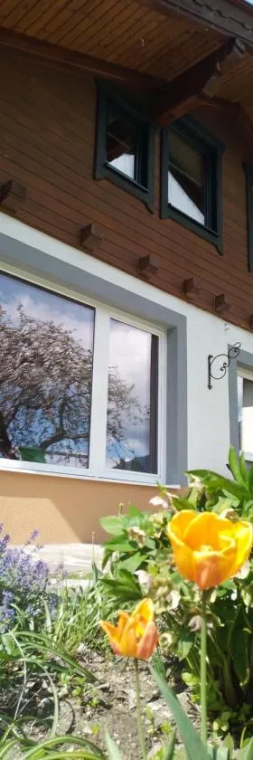 Ferienhaus Herrenschmiede，位于上韦拉赫的酒店