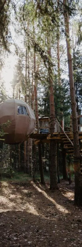 Nature calls - tree tents，位于Būtingė的酒店