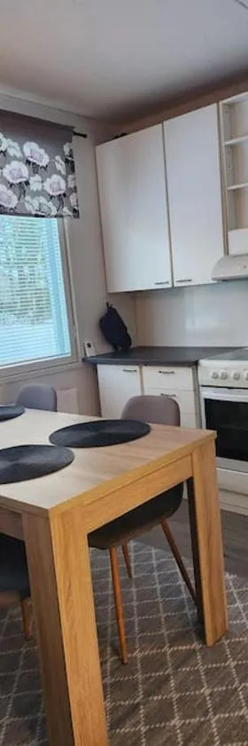 Gáiju Apartment，位于Vaivio的酒店