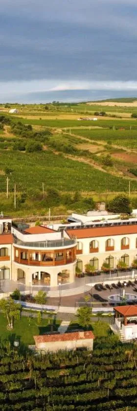 Panorama Kakheti Resort，位于Gurjaani的酒店