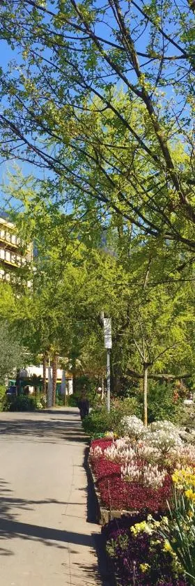 Royal Plaza Montreux，位于蒙特勒的酒店